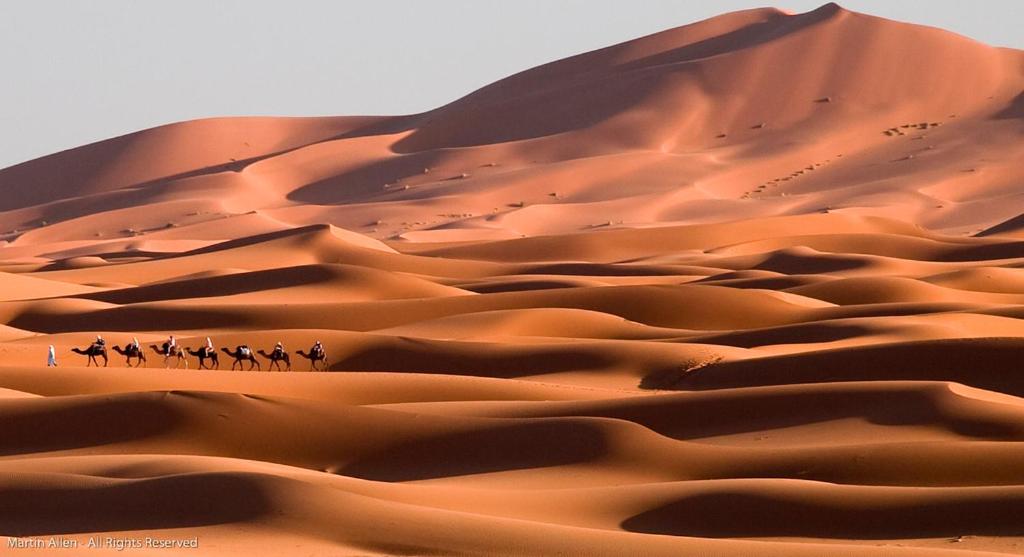 Merzouga Bivouac & Camping image 6