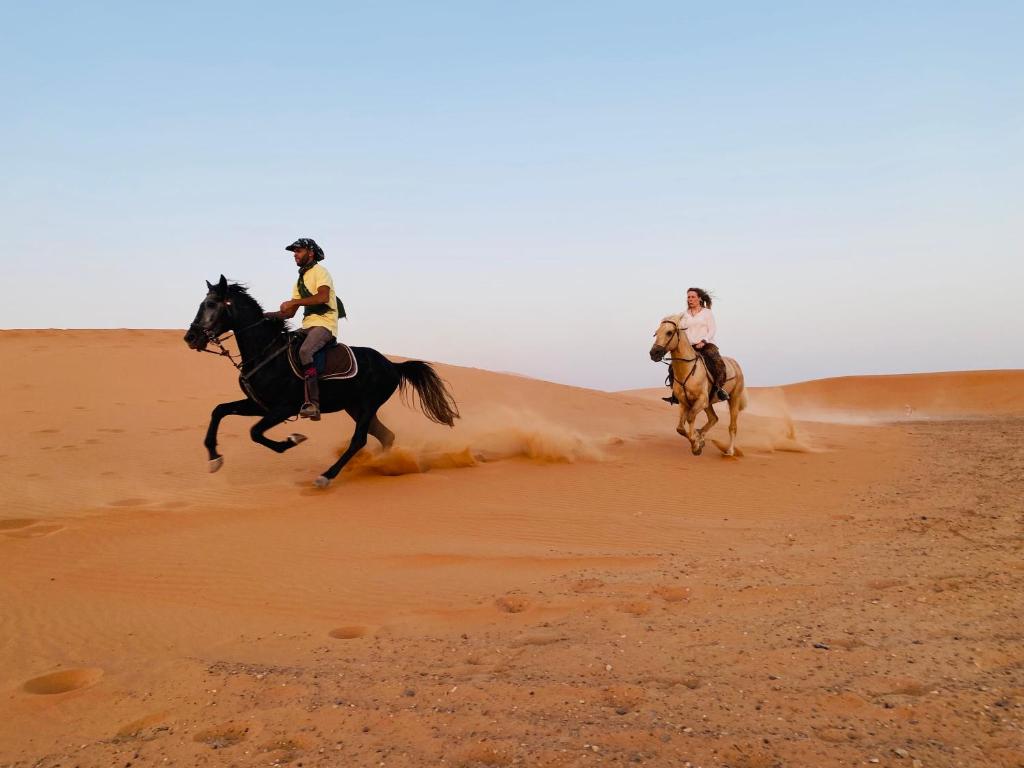 Merzouga Horses Camp image 0