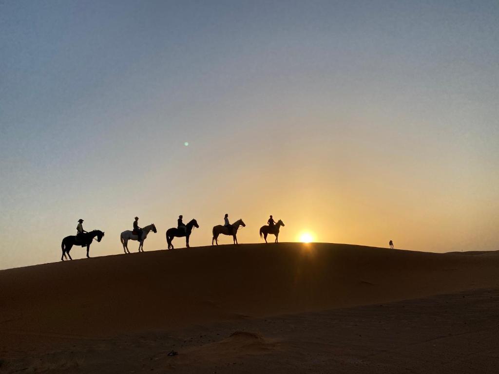 Merzouga Horses Camp image 1