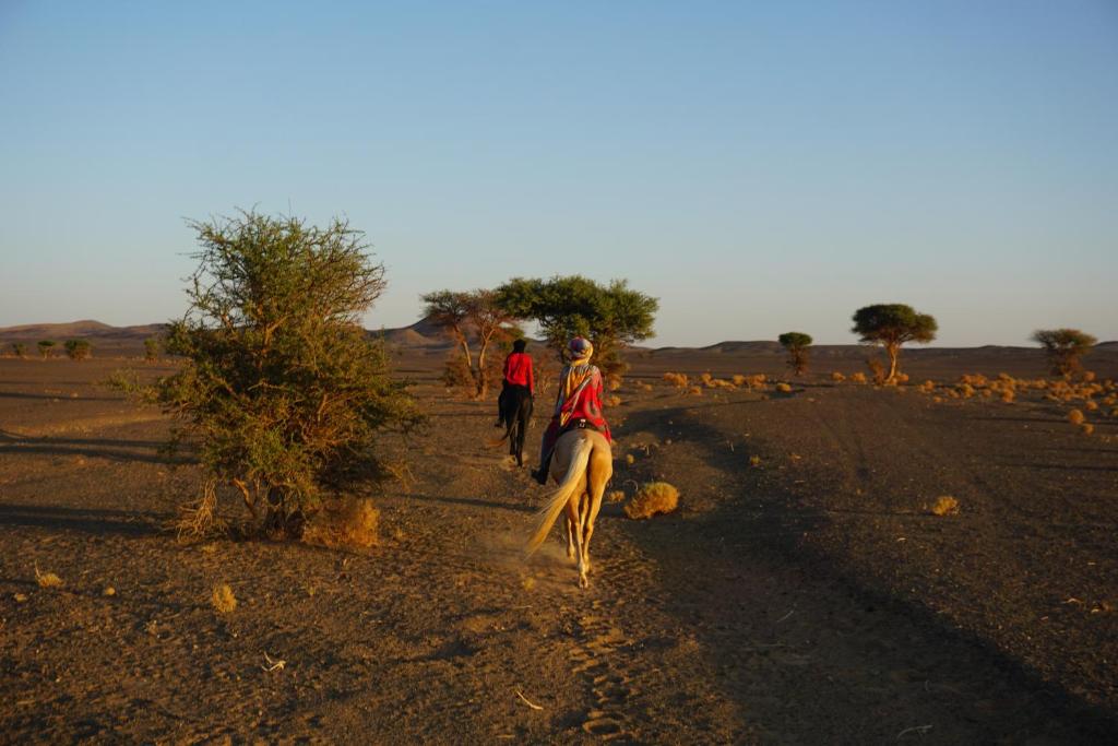 Merzouga Horses Camp image 2