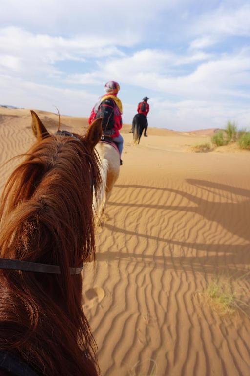 Merzouga Horses Camp image 3