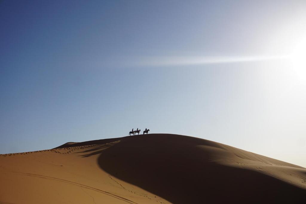 Merzouga Horses Camp image 4