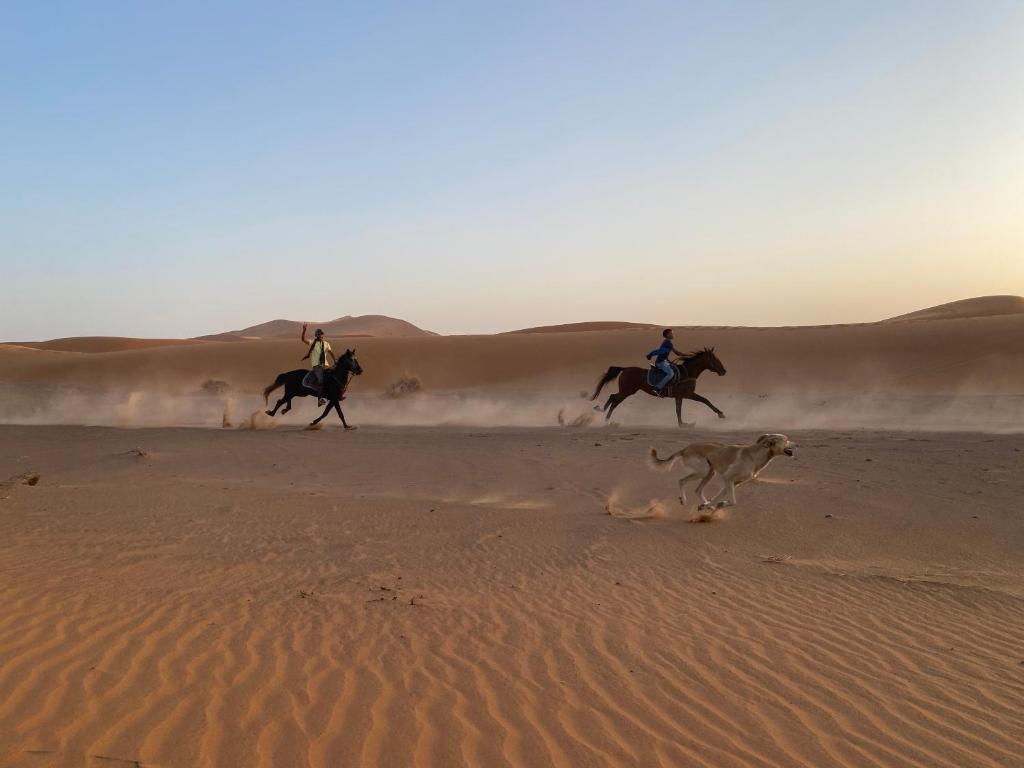 Merzouga Horses Camp image 5