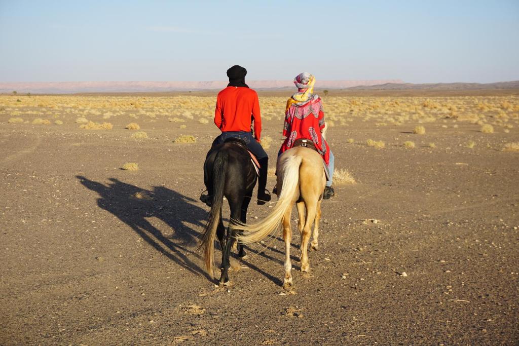 Merzouga Horses Camp image 8