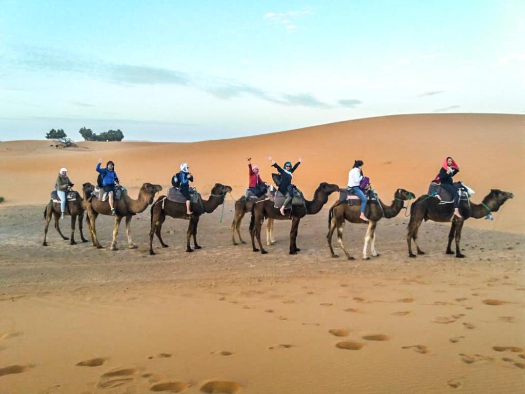 Merzouga Luxury Bivouac image 1