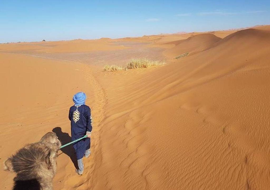 Merzouga tours camp image 2