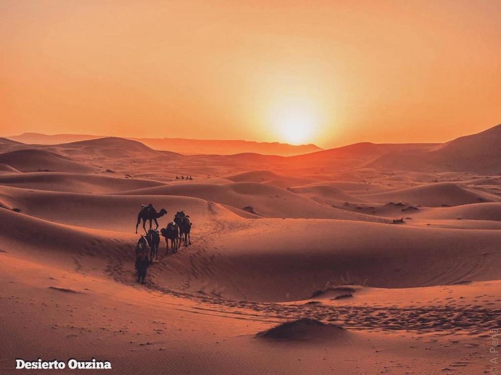 Merzouga Trekking Sahara image 6