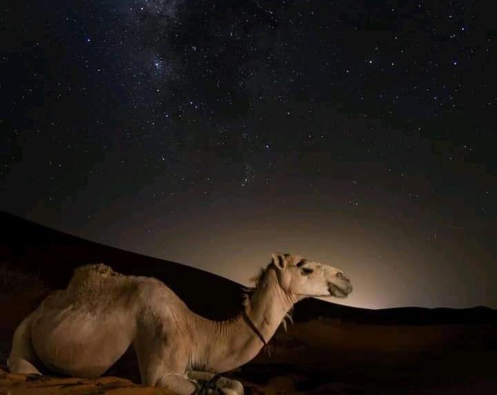 Merzouga Trekking Sahara image 7