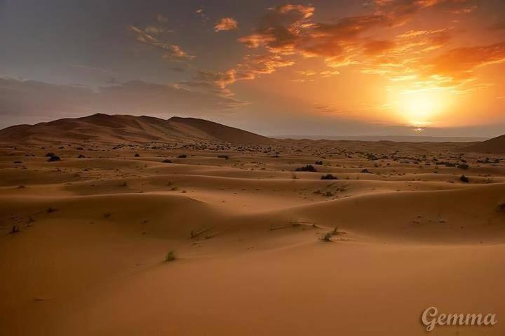 Moda Camp Merzouga - Camel Quad Sunboarding ATV image 2