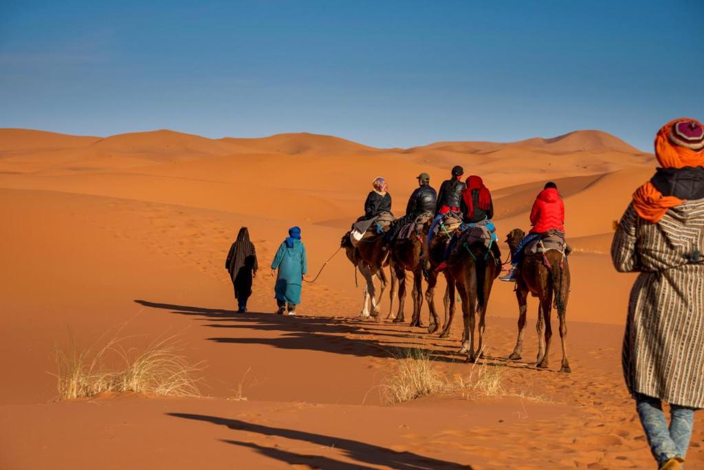 Moda Camp Merzouga - Camel Quad Sunboarding ATV image 3