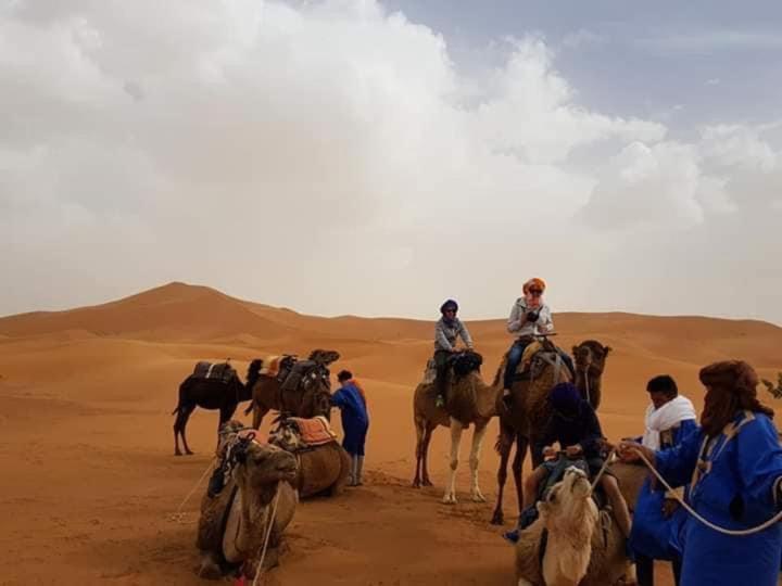 Moda Camp Merzouga - Camel Quad Sunboarding ATV image 4