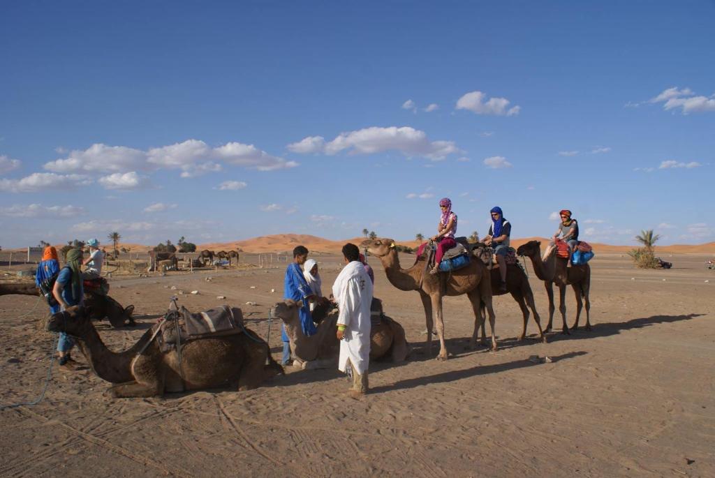 Moda Camp Merzouga - Camel Quad Sunboarding ATV image 5