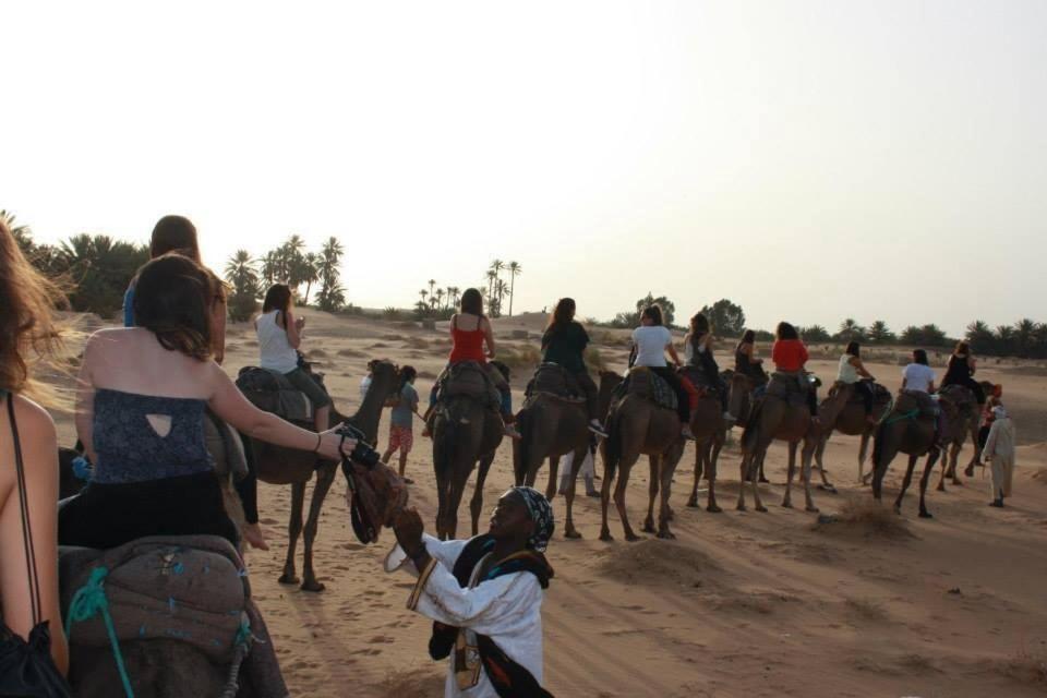 Moda Camp Merzouga - Camel Quad Sunboarding ATV image 6