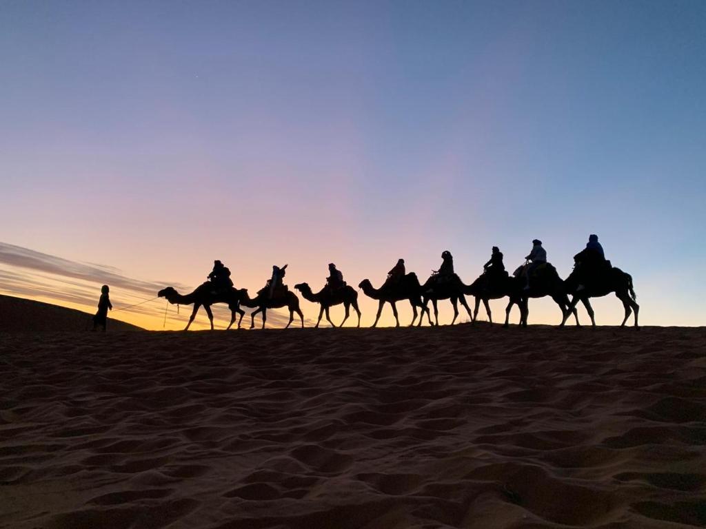 morocco camel riding luxury camp image 6