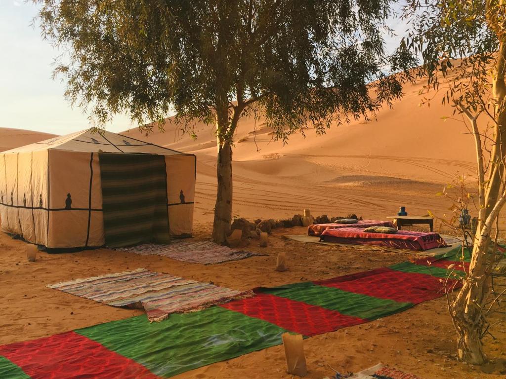 Nomadic Desert Camp Tours image 4