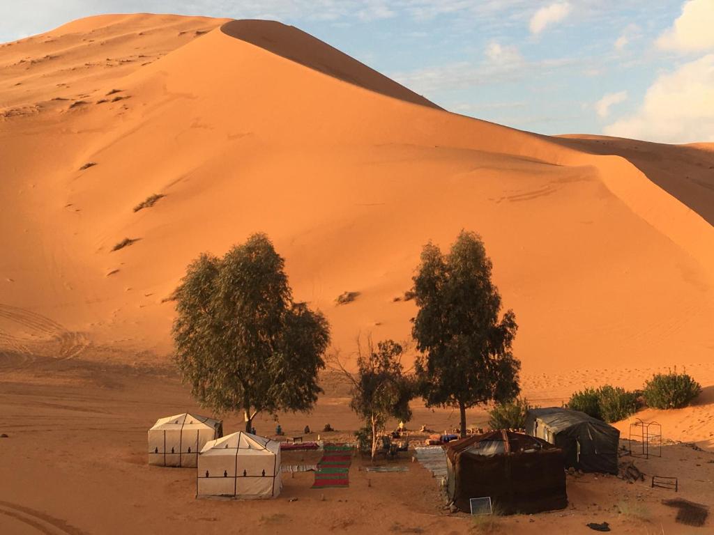 Nomadic Desert Camp Tours image 8