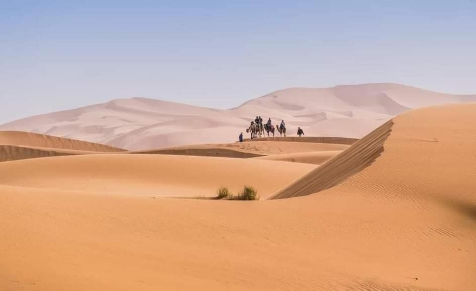 Original Merzouga Camp image 6