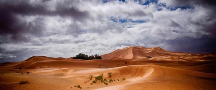 Ouassini Camp Merzouga image 6