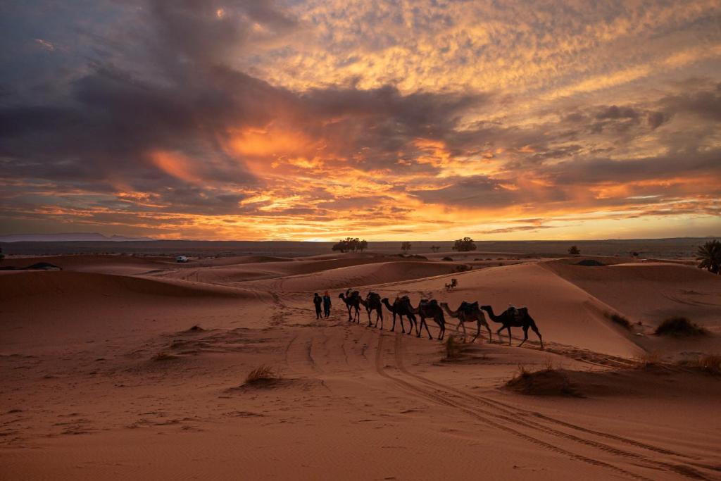 Paradis Du Sahara image 6