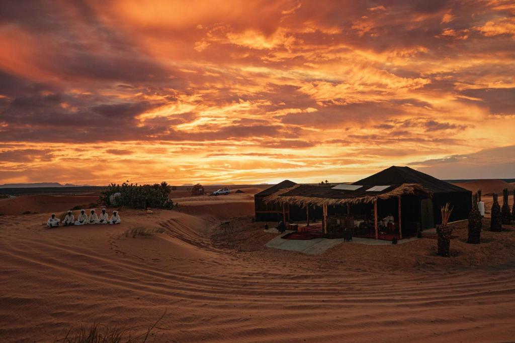 Paradis Du Sahara