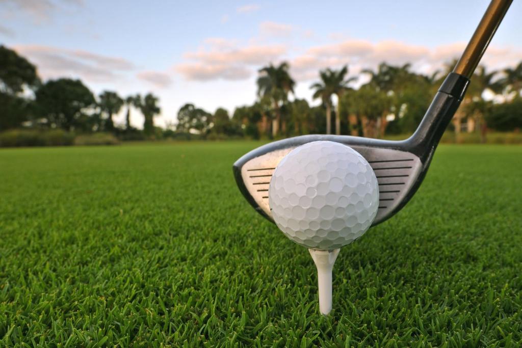 Prestigia Golf image 5