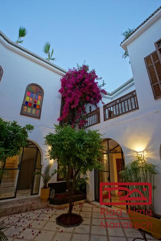 Riad Alma image 9