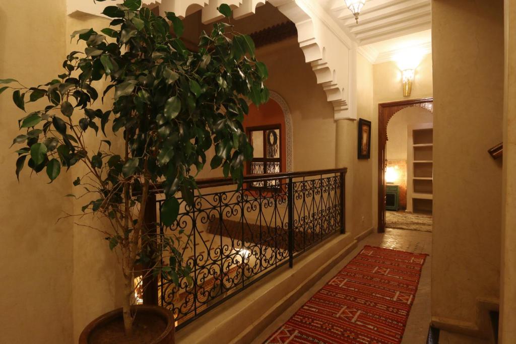 Riad Andalla image 6