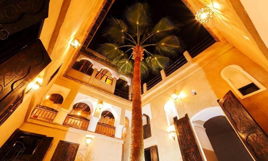 Riad Benyara image 4