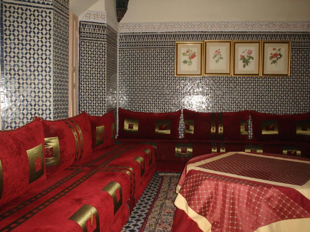 Riad Damia image 7