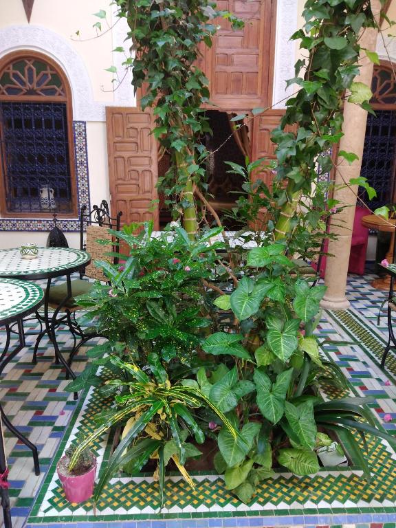 Riad Dar Zouhour image 0