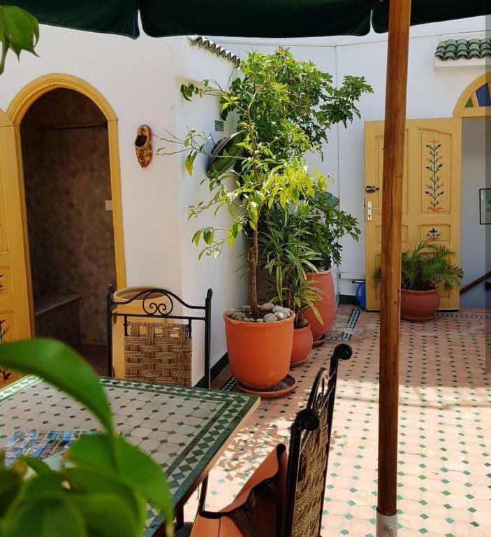 Riad Dar Zouhour image 9