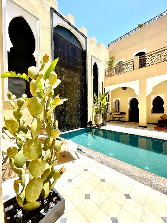 Riad Faraj image 3