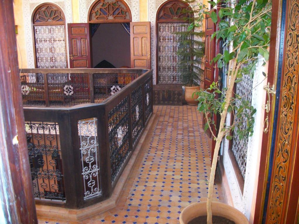 Riad Idrissi image 7