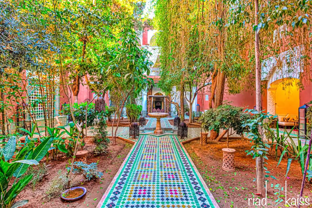 Riad Kaiss By Anika image 4