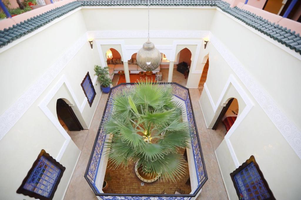 Riad KAMAL image 8