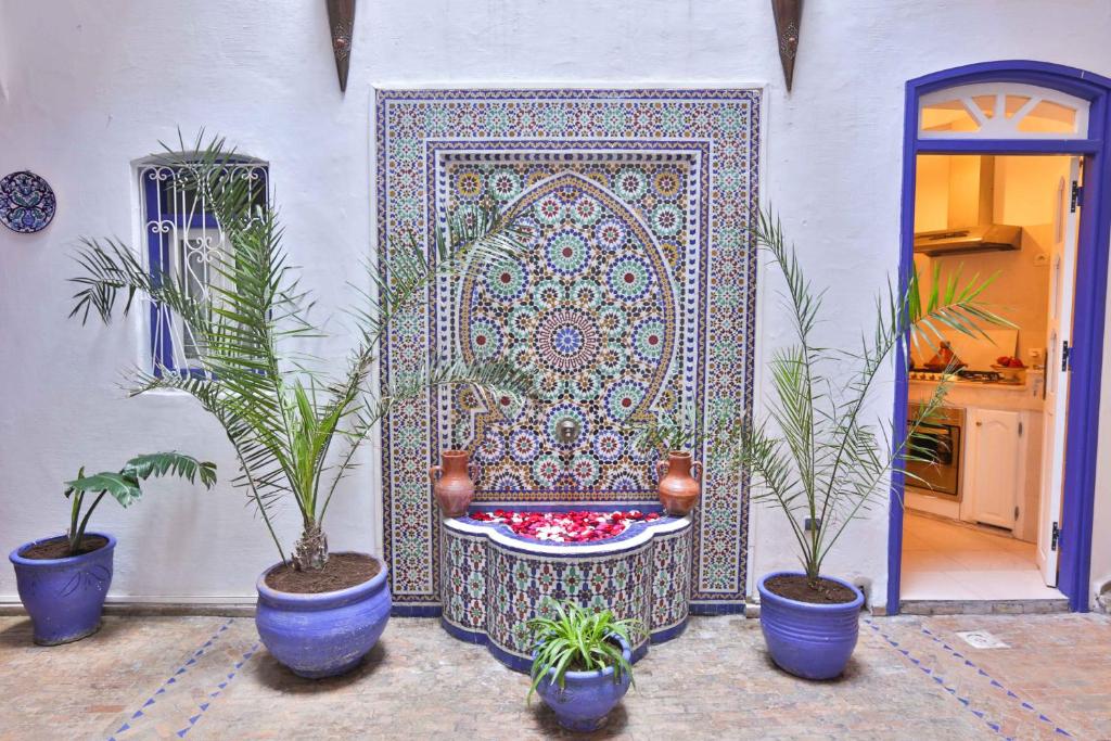 Riad l'Ayel d'Essaouira image 5