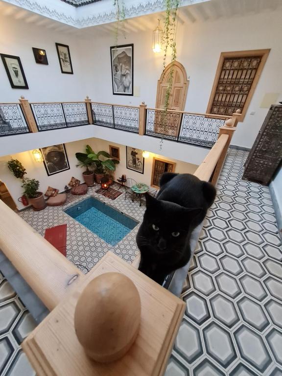 Riad Le Petit Joyau image 8