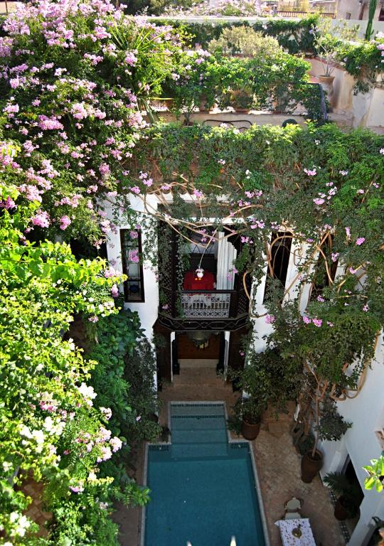 Riad Lyla image 0