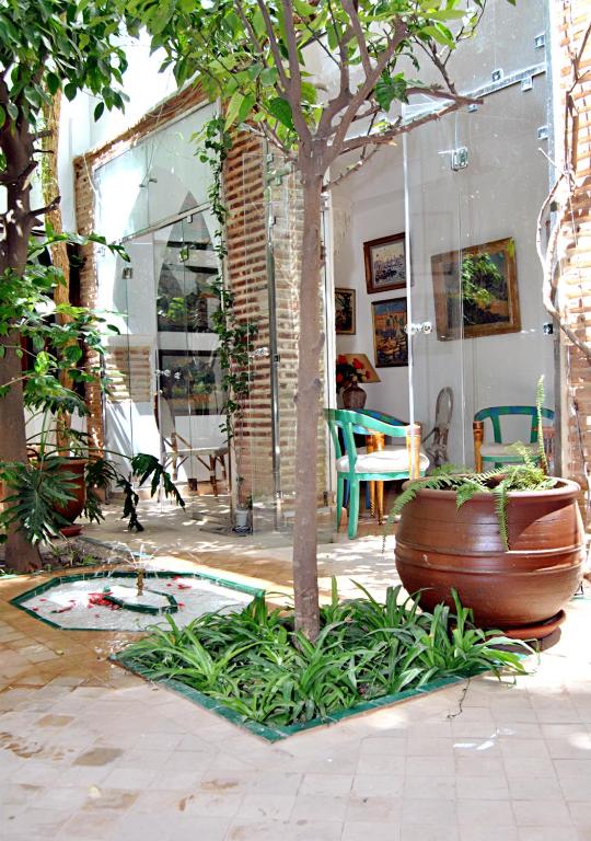 Riad Lyla image 5