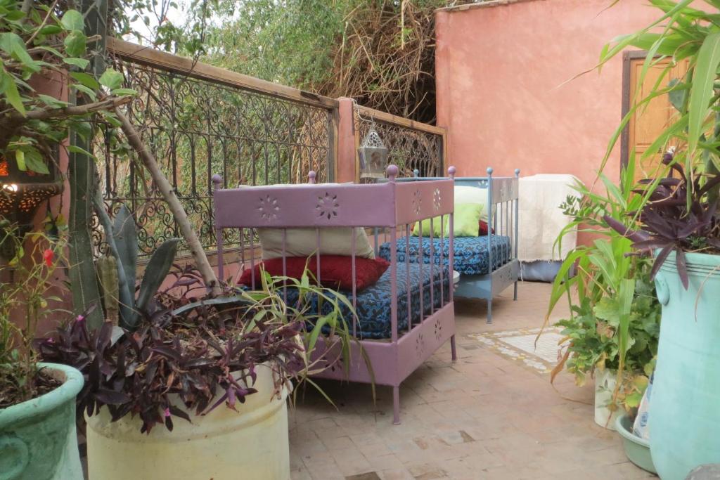 Riad Maizie image 2