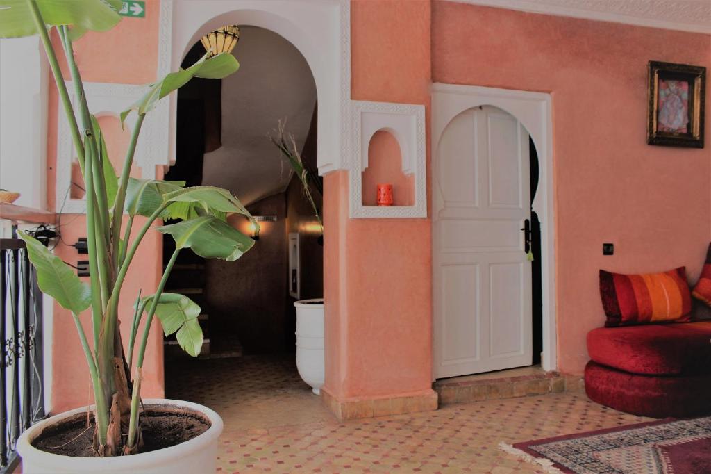 Riad NADIRA image 9