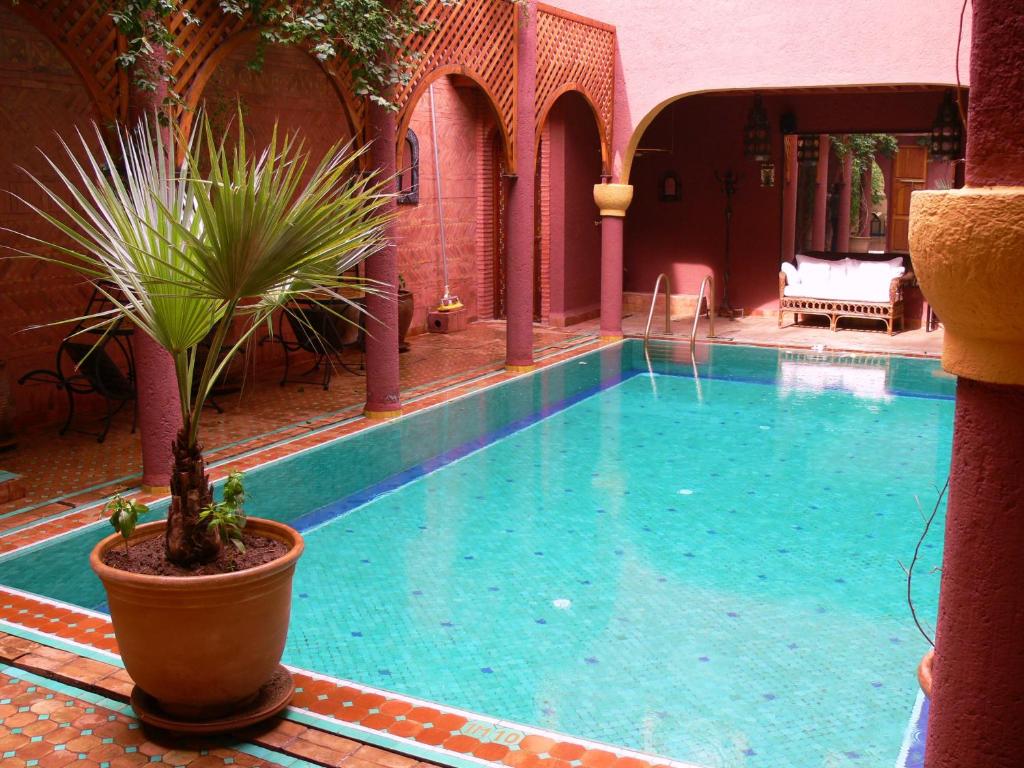 Riad Noga image 1