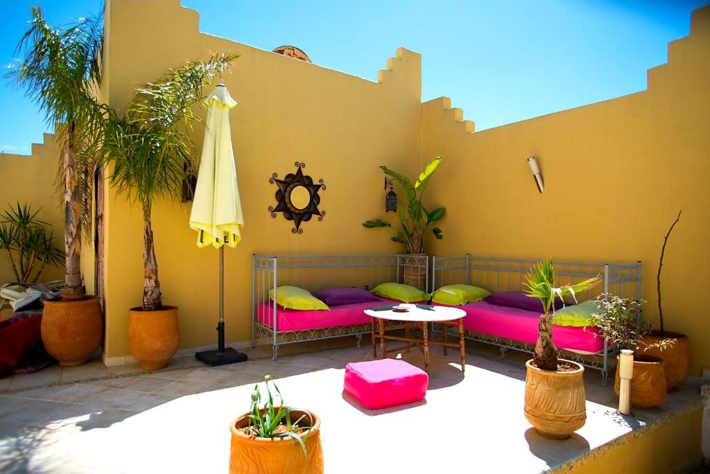 Riad Safir image 8