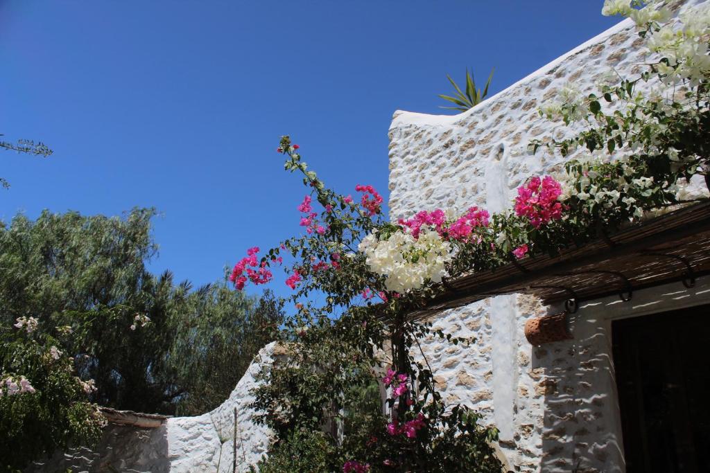 Riad Sanam essaouira image 2