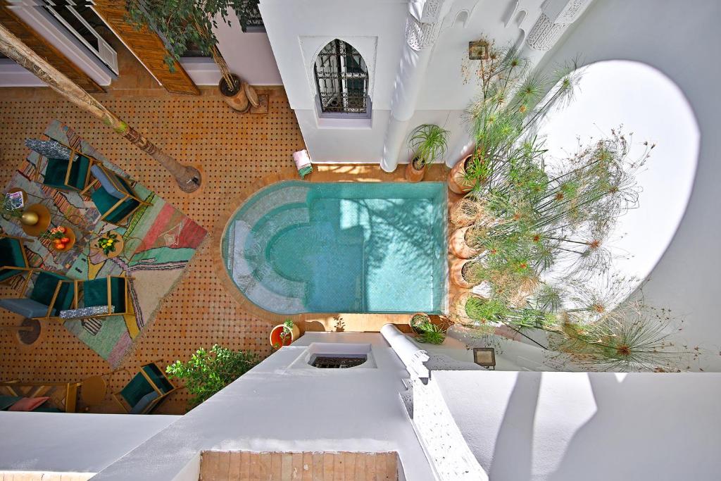 Riad Sashema image 2