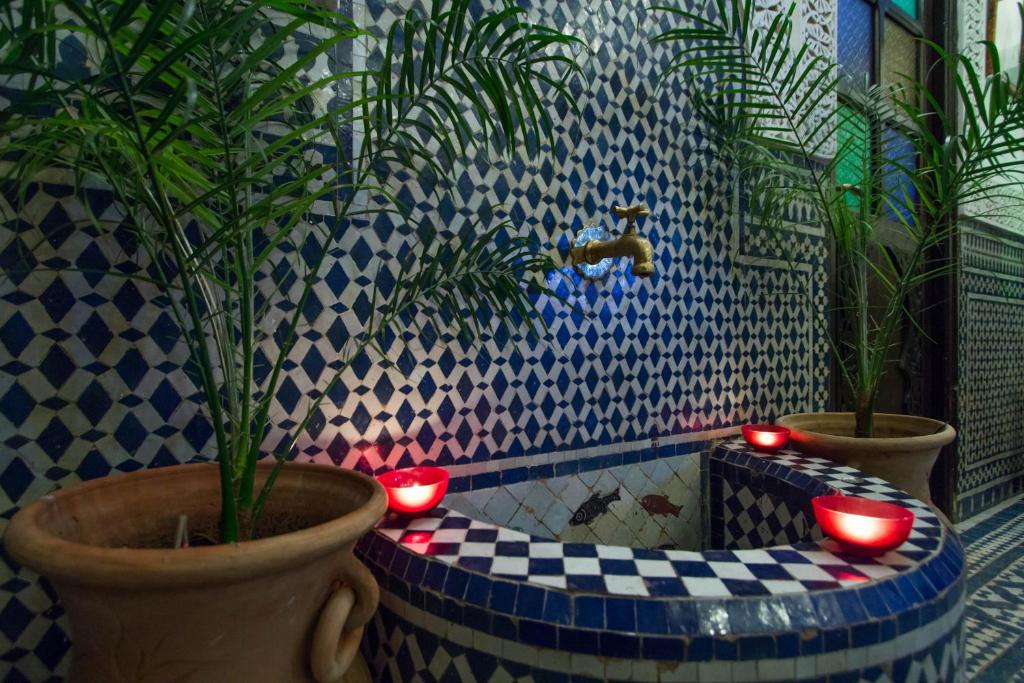 Riad Taha Fez Morocco image 5