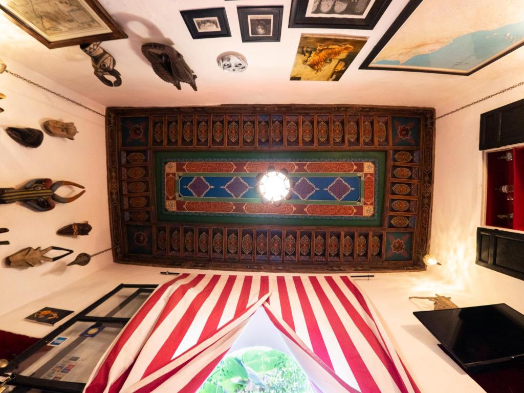 Riad Tibibt image 8