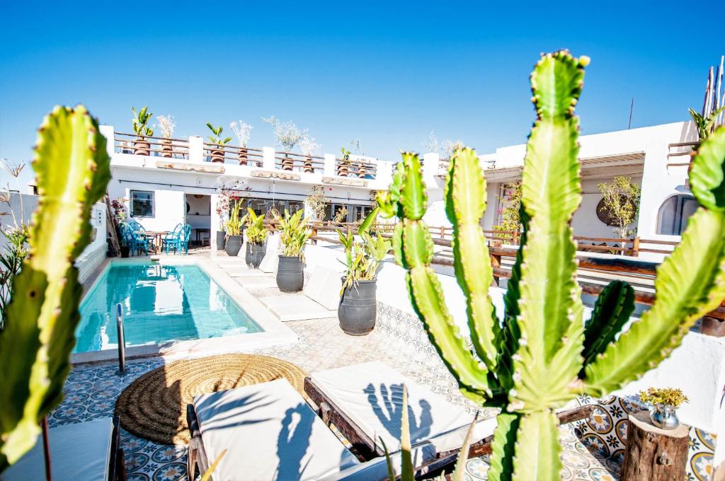 Riad Villa Almeria Hotel & Spa image 4