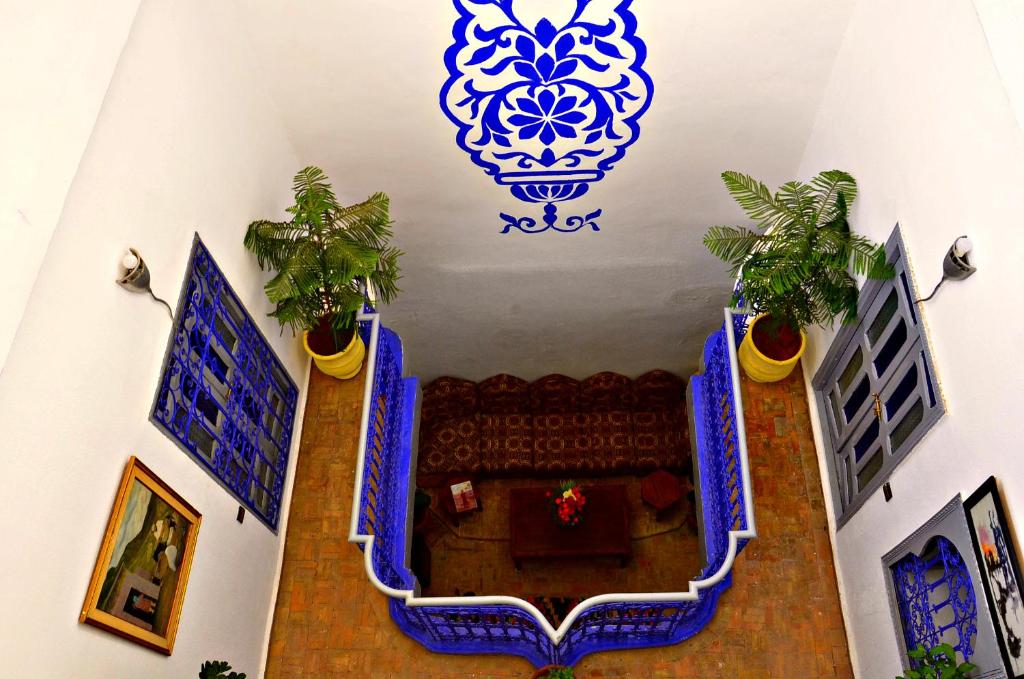 Riad Wink image 6