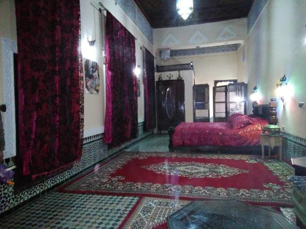 Riad Yanis image 5